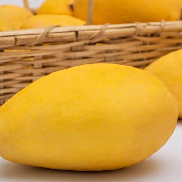 Multani White Chaunsa Export Grade (Free TCS Delivery) - Image 4